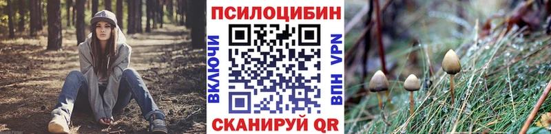 Псилоцибиновые грибы прущие грибы  darknet состав  Усмань 